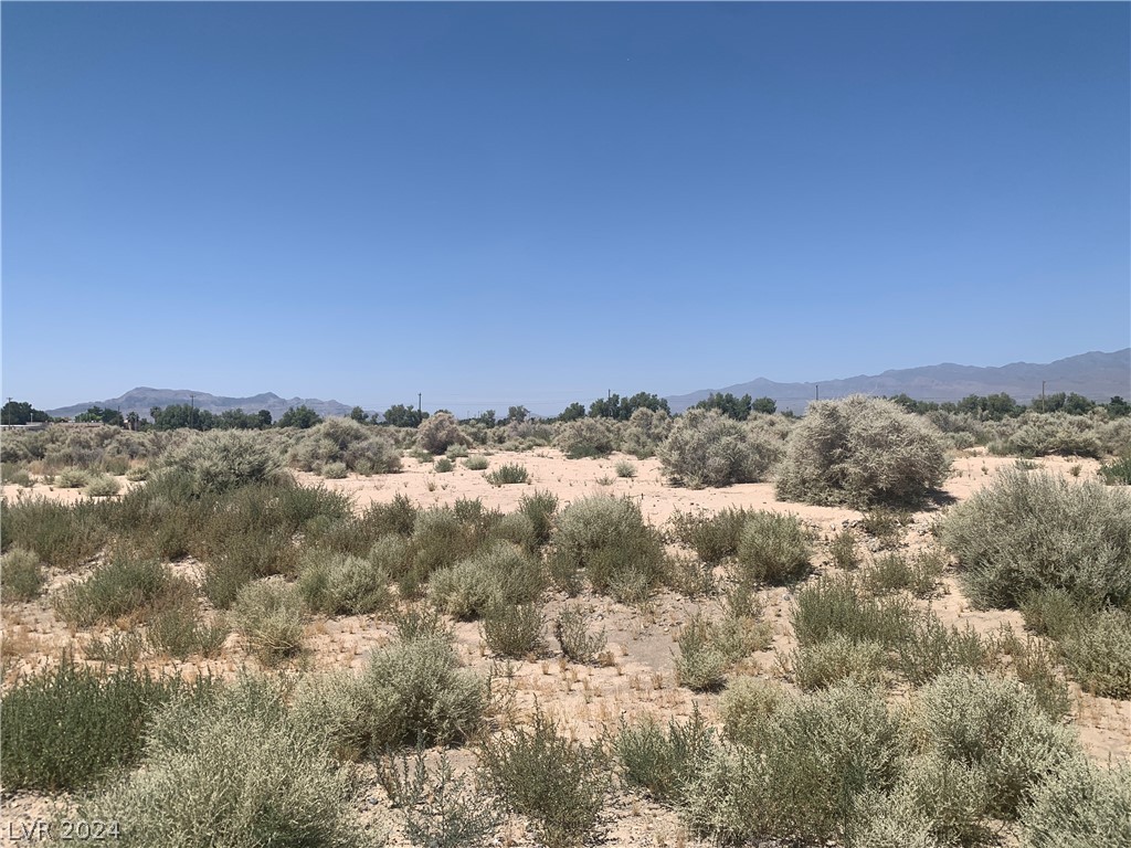 1670 East Casino Street Pahrump NV 89048
