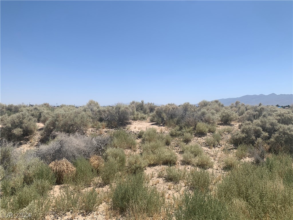 1670 East Casino Street Pahrump NV 89048