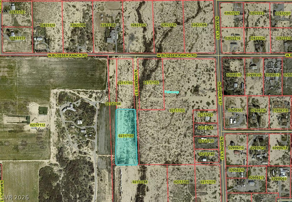 3190 West Effinger Street Pahrump NV 89060