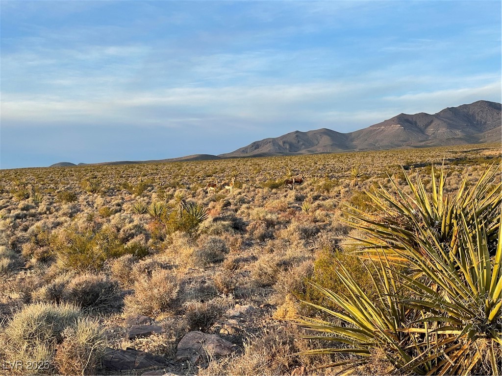 60 West Anchor Road Pahrump NV 89020