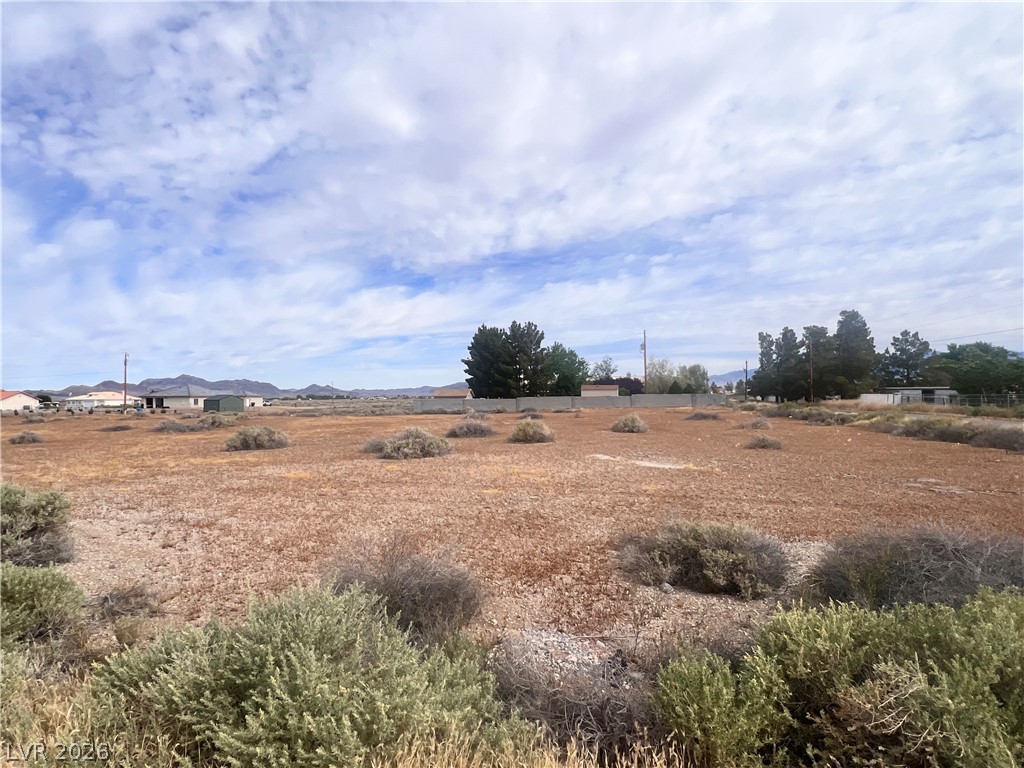 2870 South Leslie Street Pahrump NV 89048