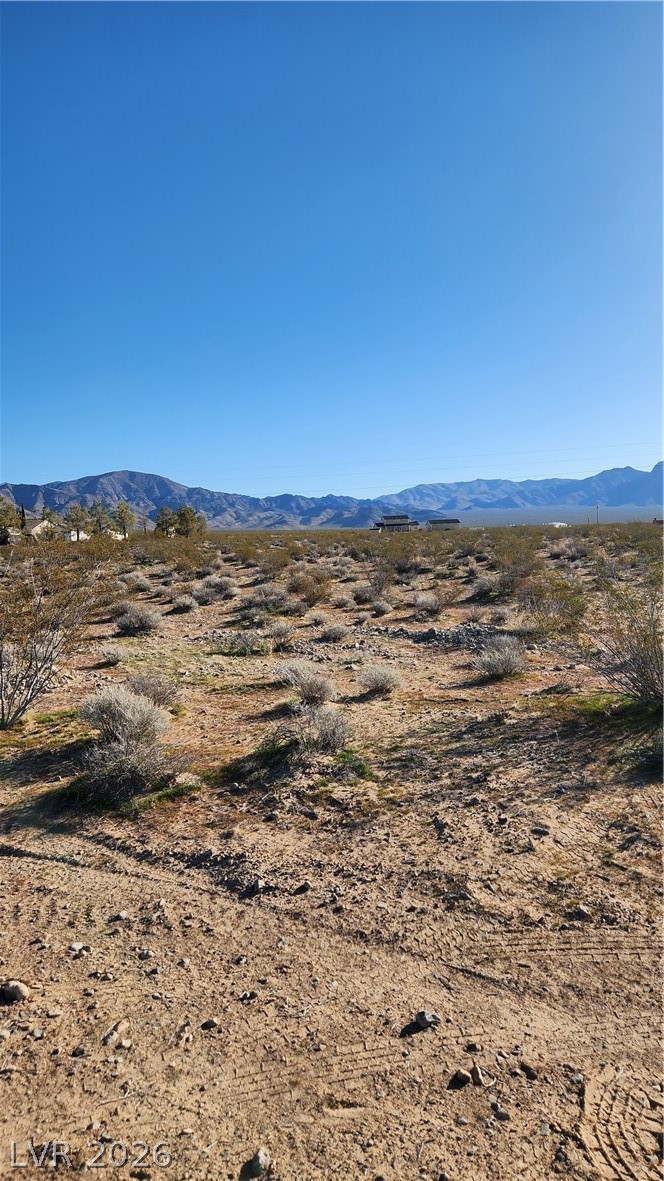 Paiute Sandy Valley NV 89019