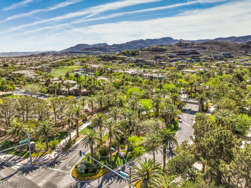 619 Dragon Mountain Court Henderson NV 89012