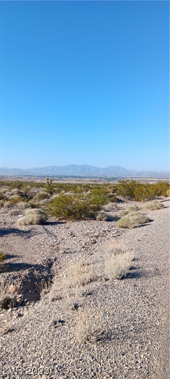2780 East Bickford Way Pahrump NV 89060