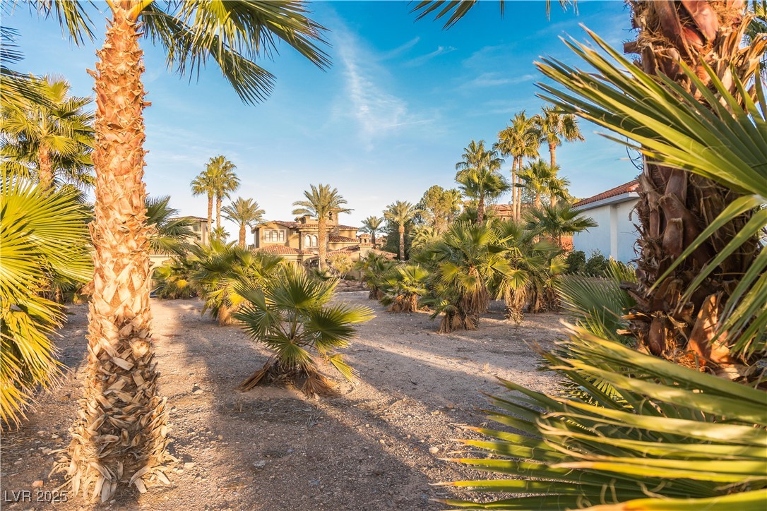 17 Grand Miramar Drive Henderson NV 89011