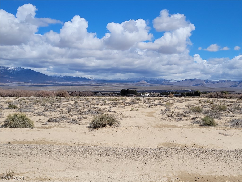 2590 North Decatur Avenue Pahrump NV 89060