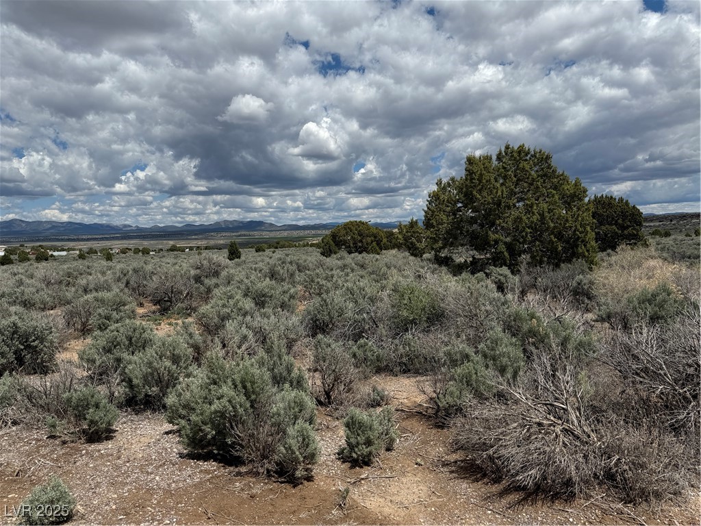 Aspen Pioche NV 89043