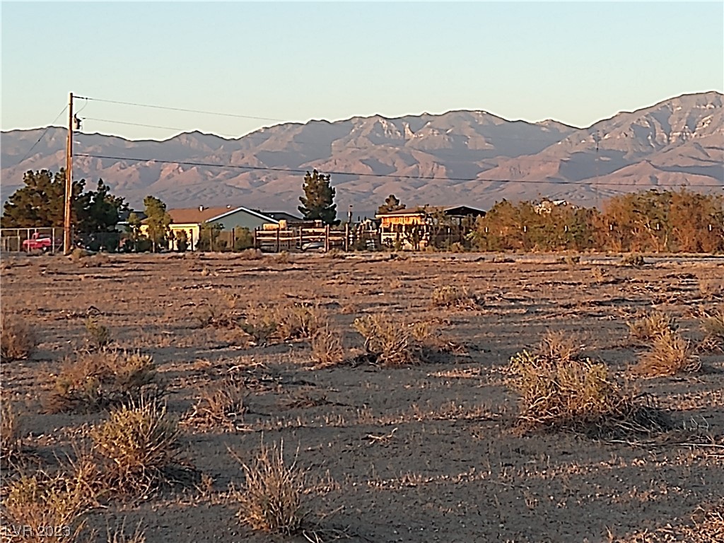 1690 West Gray Fox Way Pahrump NV 89048