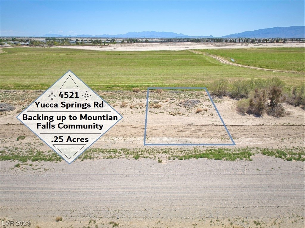 4521 East Yucca Springs Road Pahrump NV 89061