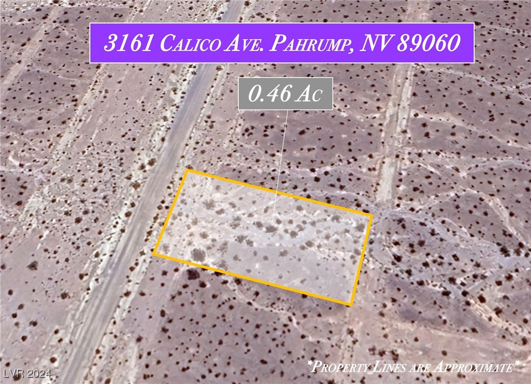3161 North Calico Avenue Pahrump NV 89060