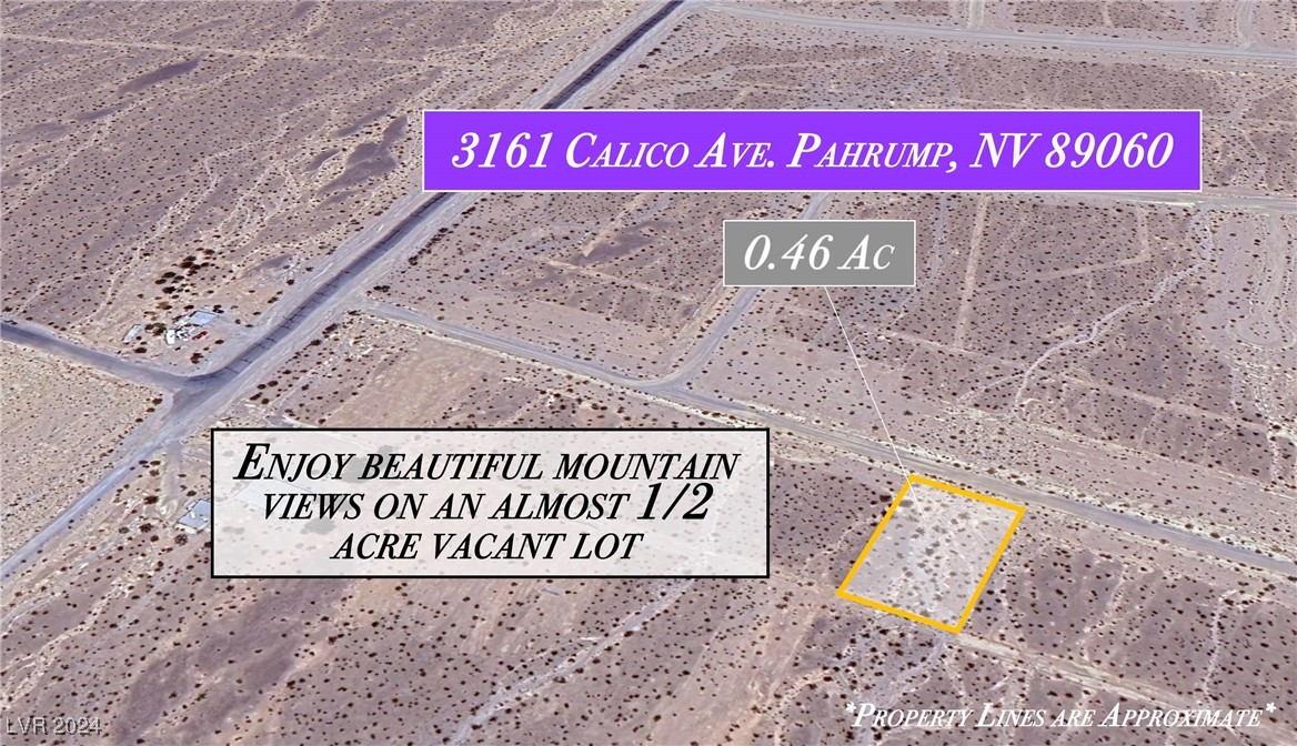 3161 North Calico Avenue Pahrump NV 89060