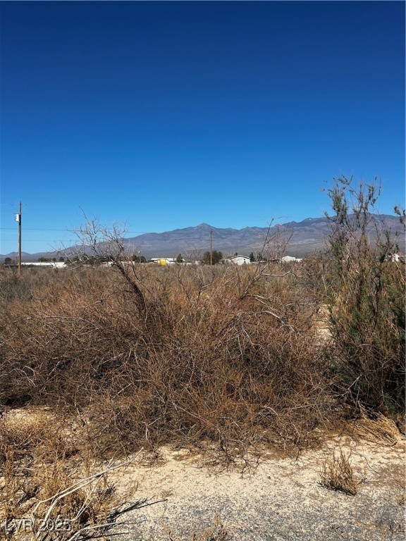 1450 Gee Street Pahrump NV 89060