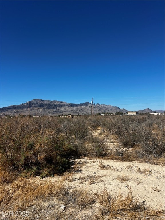 1450 Gee Street Pahrump NV 89060
