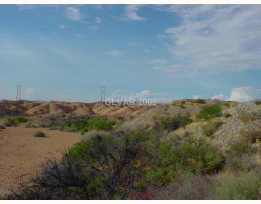 1421 East Bay Court Pahrump NV 89060