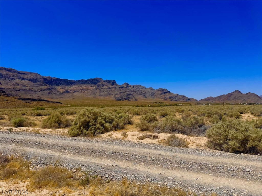 2221 West Avellaneda Street Pahrump NV 89060