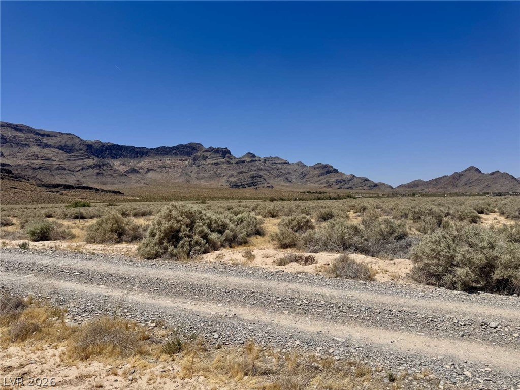 2221 West Avellaneda Street Pahrump NV 89060