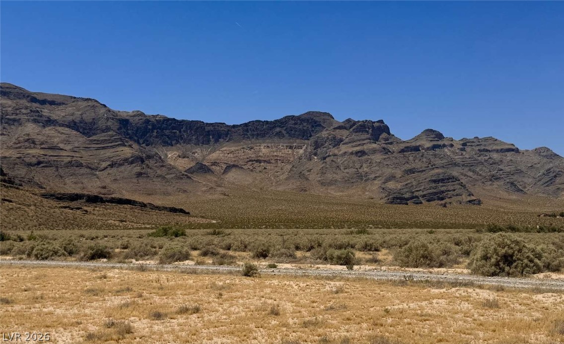 2221 West Avellaneda Street Pahrump NV 89060