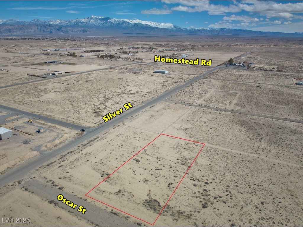 10041 South Oscar Street Pahrump NV 89048