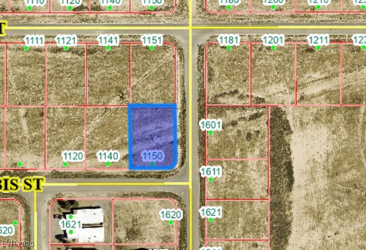 1150 East Ibis Street Pahrump NV 89048
