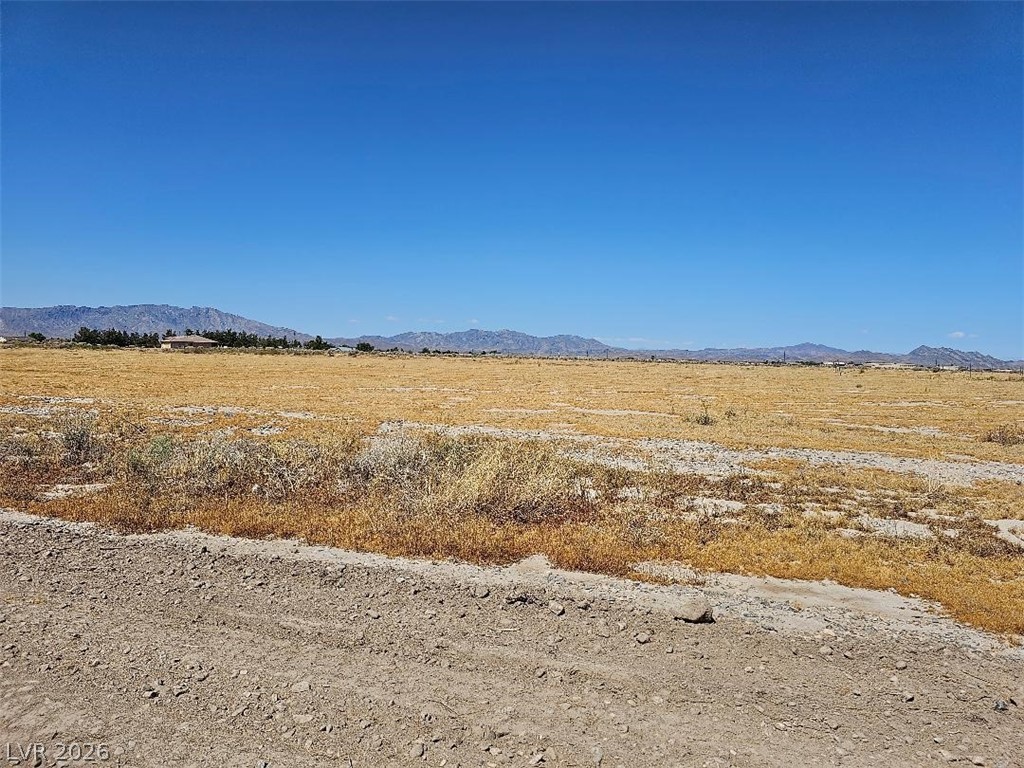 2370 South Oakridge Avenue Pahrump NV 89048