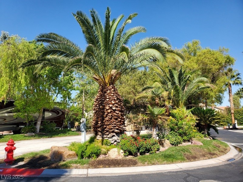 8175 Arville Street 117 Las Vegas NV 89139