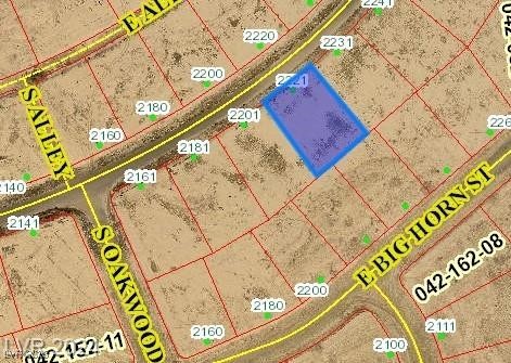 2221 East Ambush Street Pahrump NV 89048