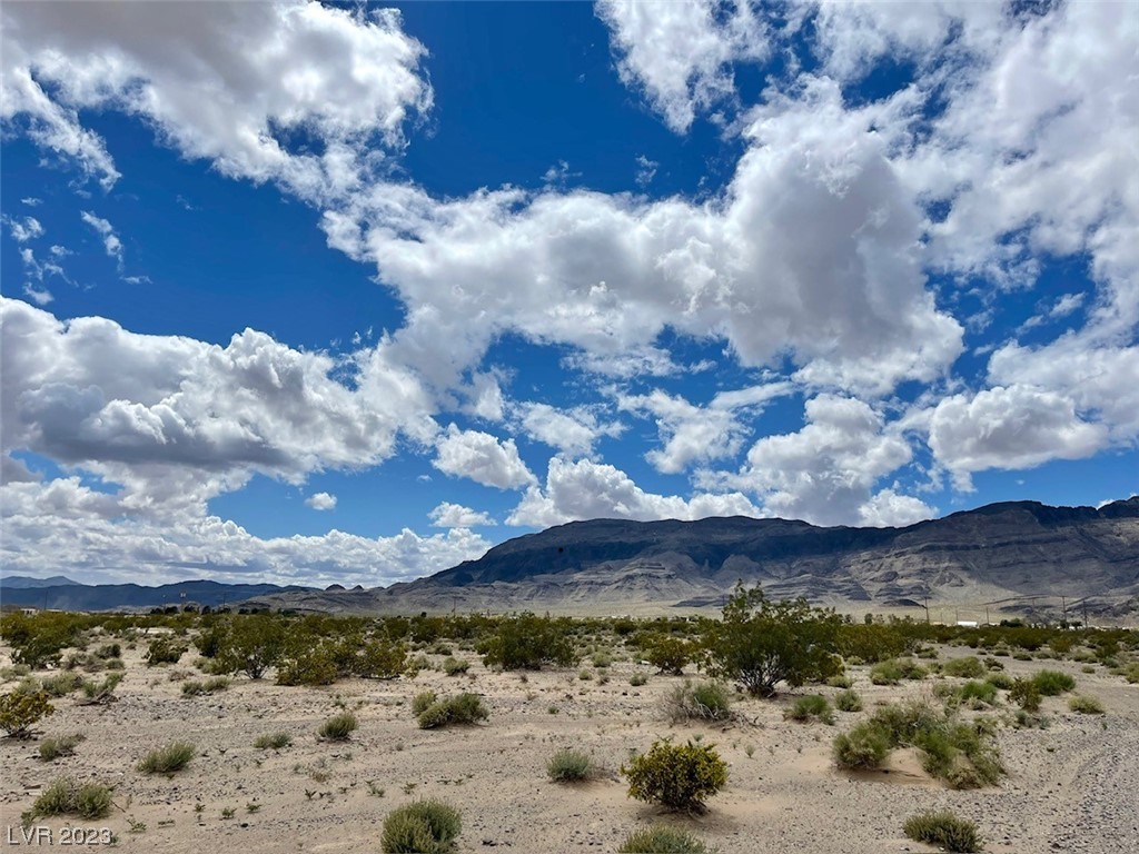 6861 North Moonhill Avenue Pahrump NV 89060