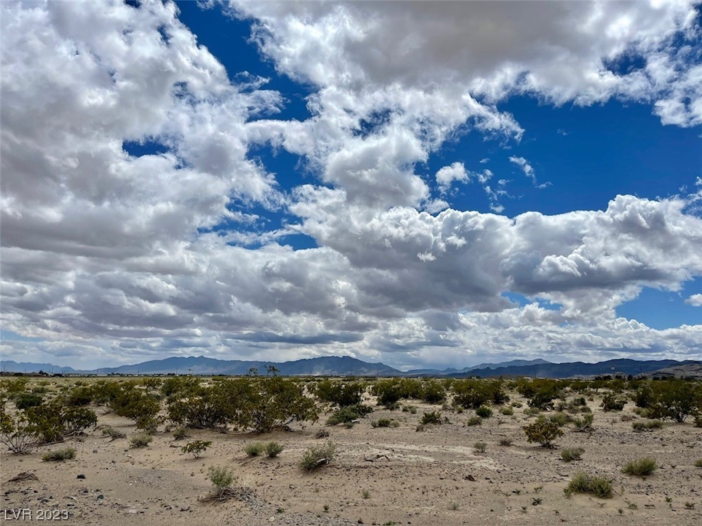 6861 North Moonhill Avenue Pahrump NV 89060