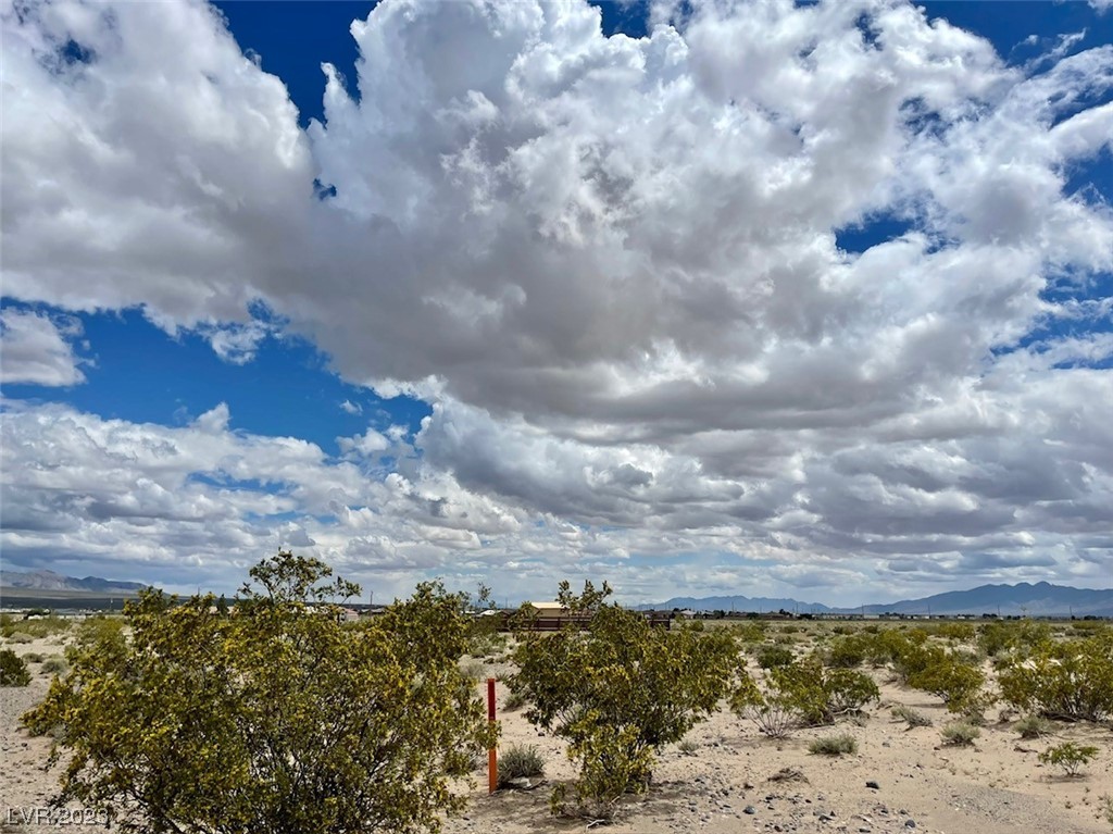 6861 North Moonhill Avenue Pahrump NV 89060