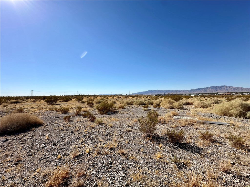 1781 East Basin Avenue Pahrump NV 89060