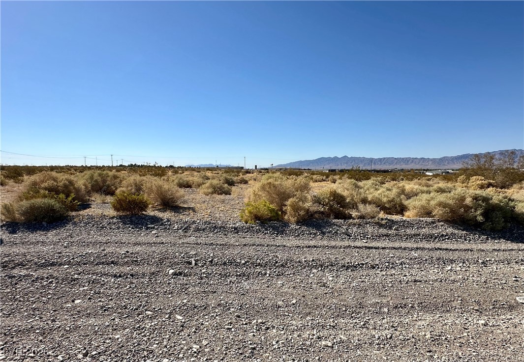 1781 East Basin Avenue Pahrump NV 89060