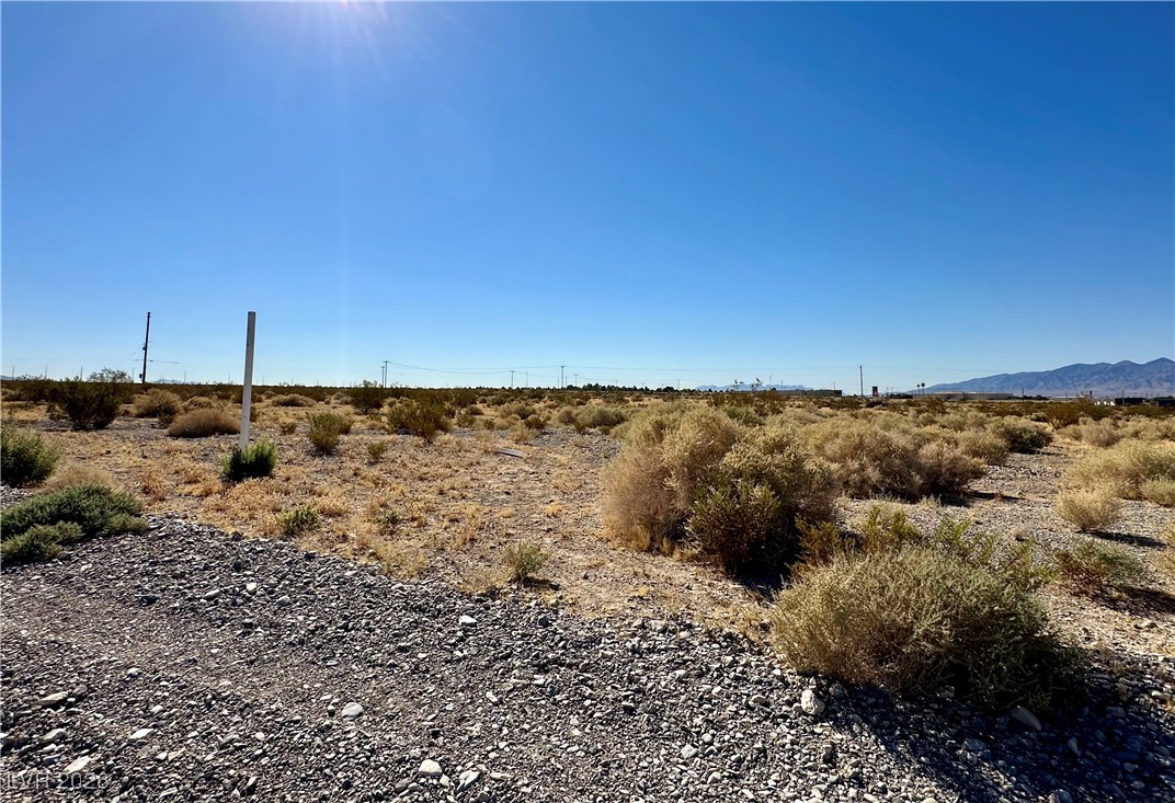 1781 East Basin Avenue Pahrump NV 89060