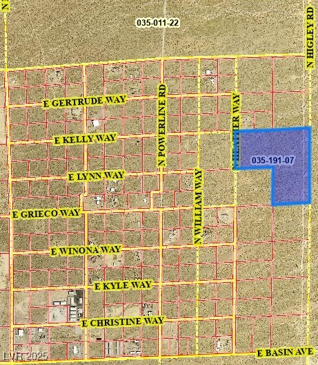 630 North Higley Road Pahrump NV 89060