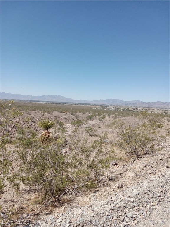 1710 East Moses Road Pahrump NV 89060