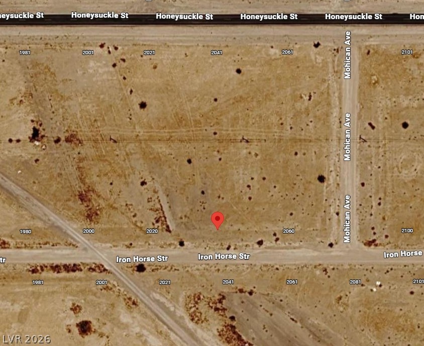 2040 East Ironhorse Street Pahrump NV 89048