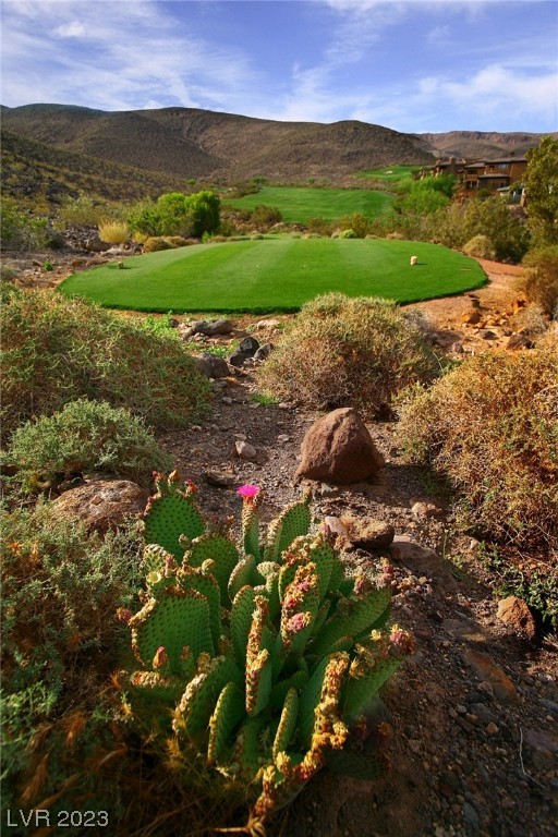 447 Rock Peak Drive Henderson NV 89012