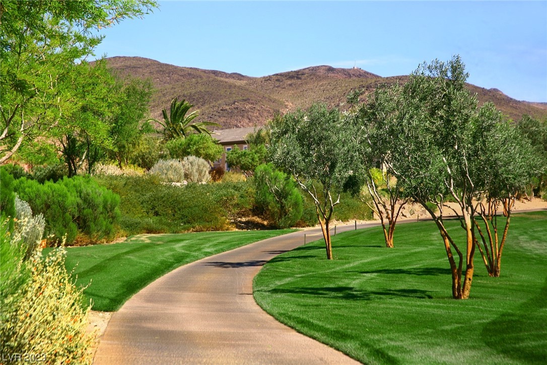 447 Rock Peak Drive Henderson NV 89012