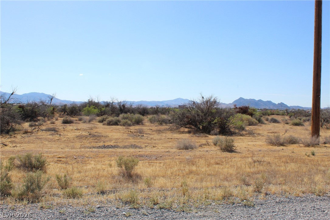 1180 South Old West Avenue Pahrump NV 89048