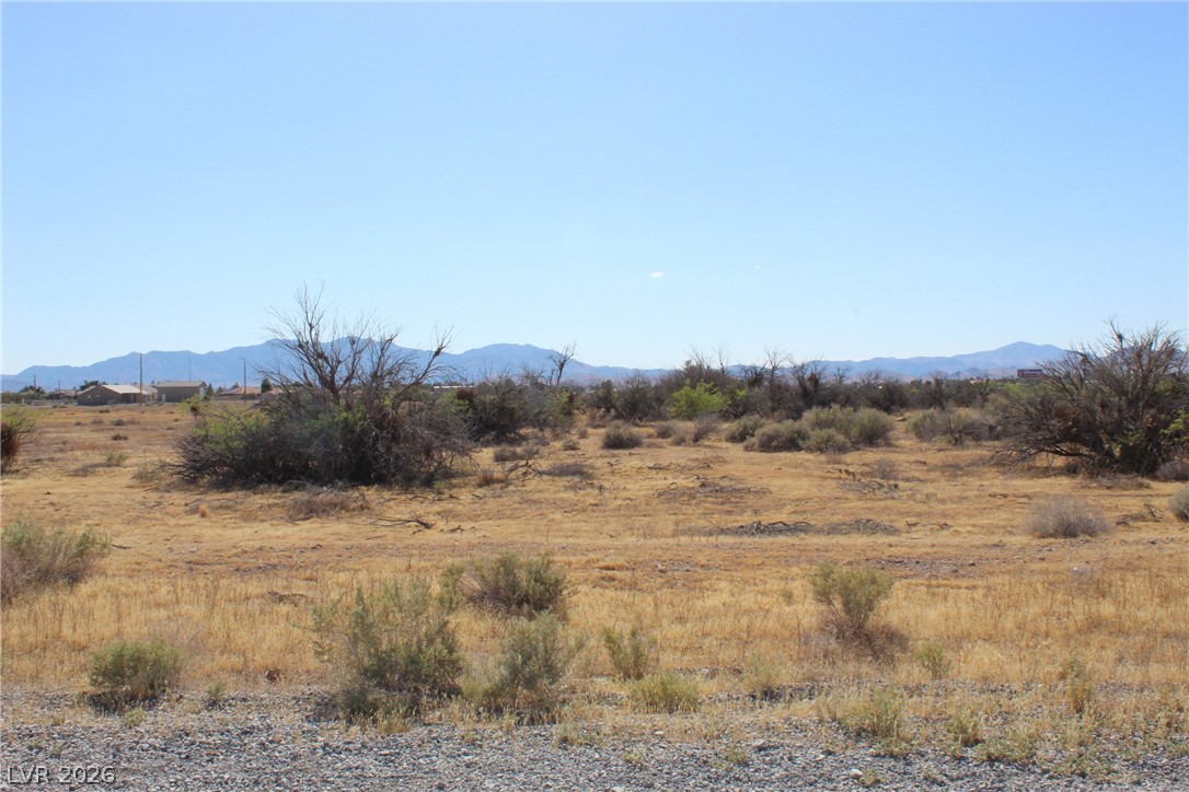 1180 South Old West Avenue Pahrump NV 89048