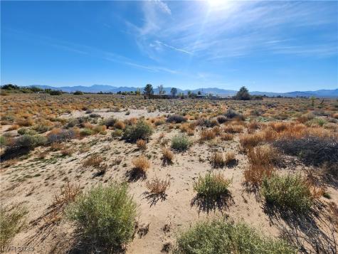 Elko Sandy Valley NV 89019