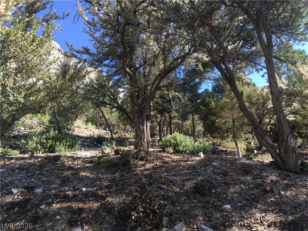 4878 Snow White Road Las Vegas NV 89124