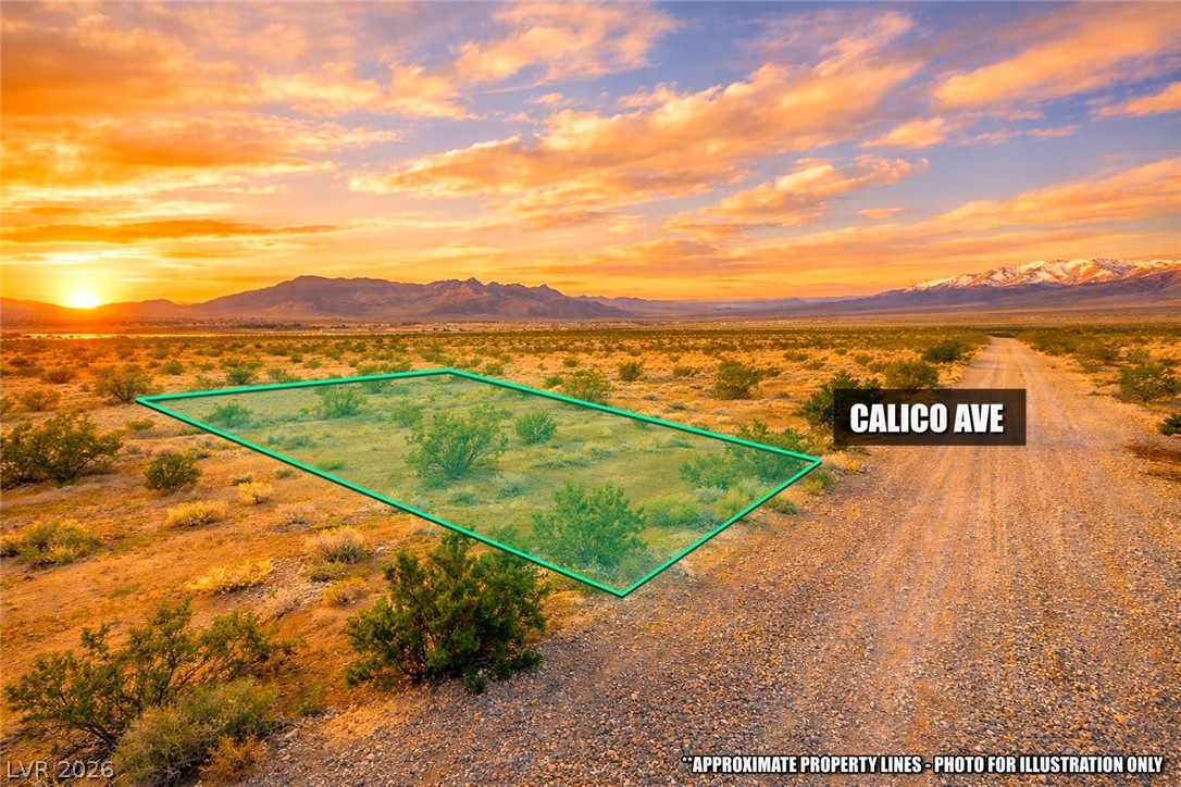 3370 North Calico Avenue Pahrump NV 89060