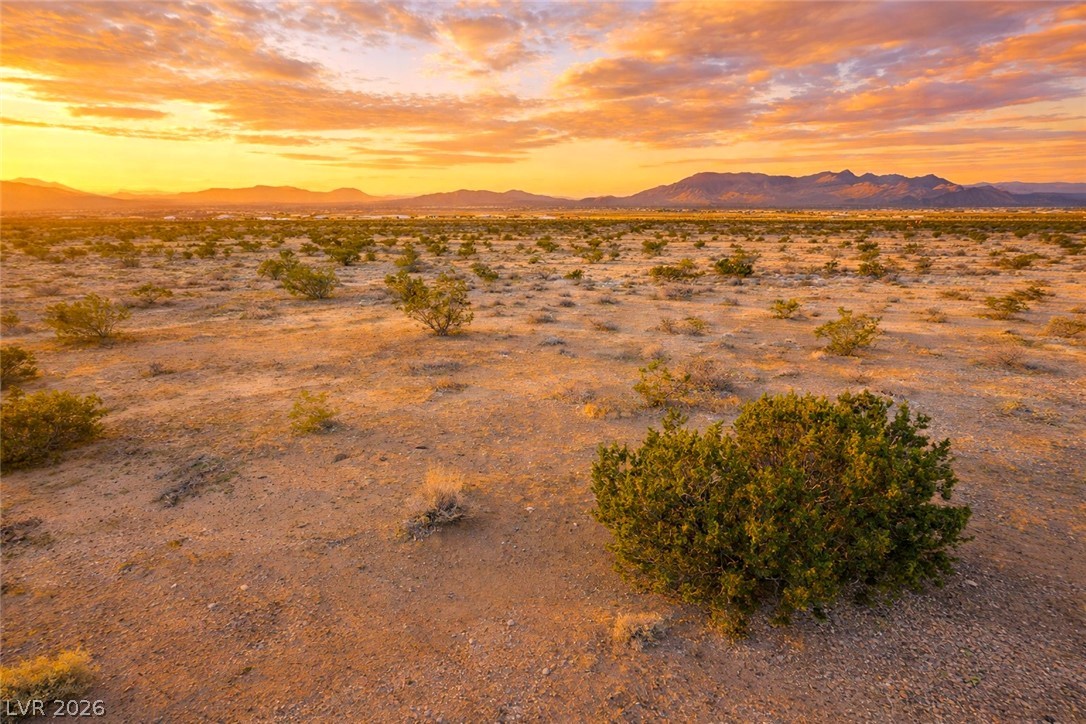 3370 North Calico Avenue Pahrump NV 89060