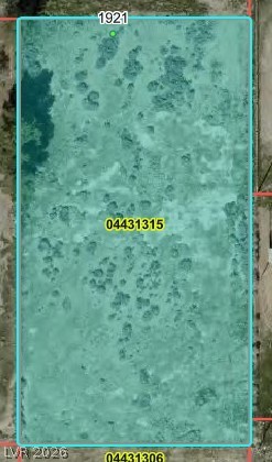 1921 East Dollar Street Pahrump NV 89048