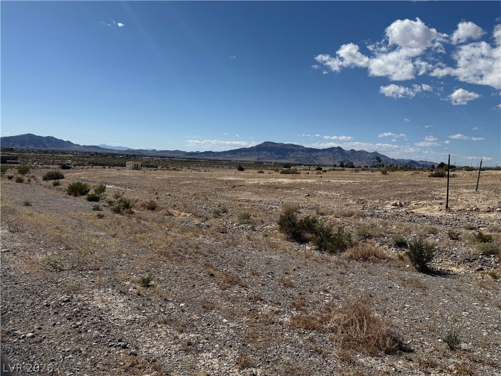 1230 East Irene Street Pahrump NV 89060
