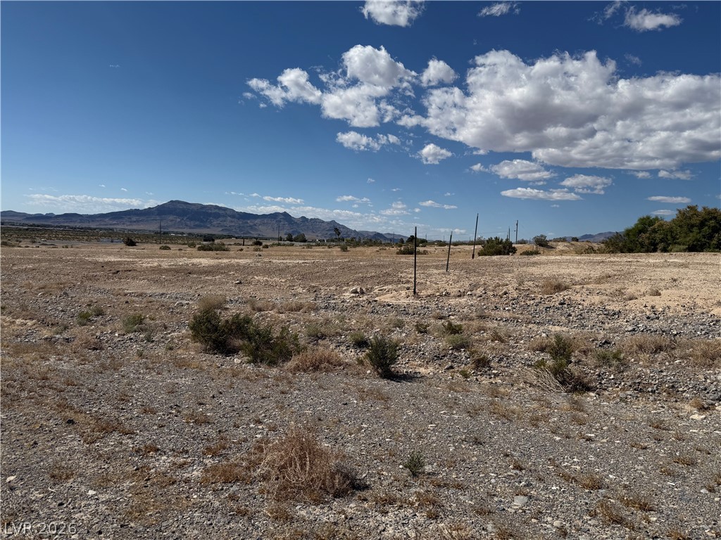 1230 East Irene Street Pahrump NV 89060