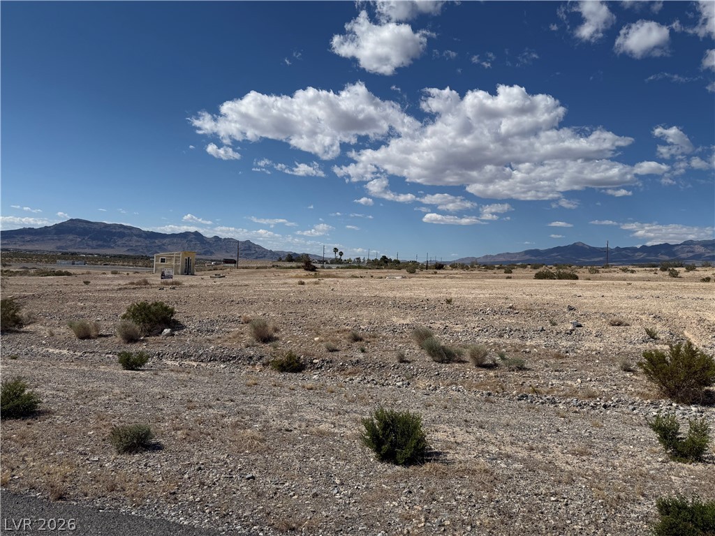 1230 East Irene Street Pahrump NV 89060