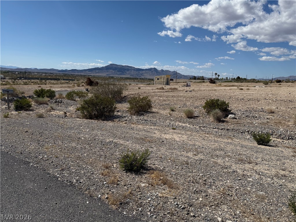 1230 East Irene Street Pahrump NV 89060