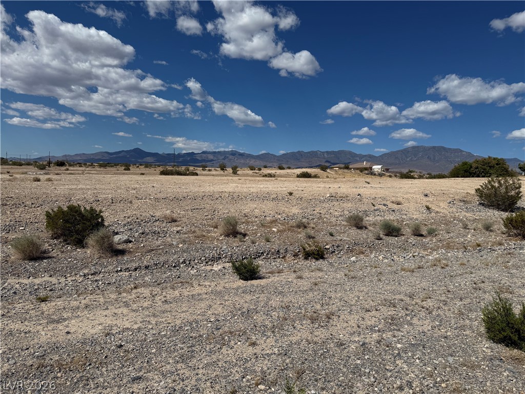 1230 East Irene Street Pahrump NV 89060