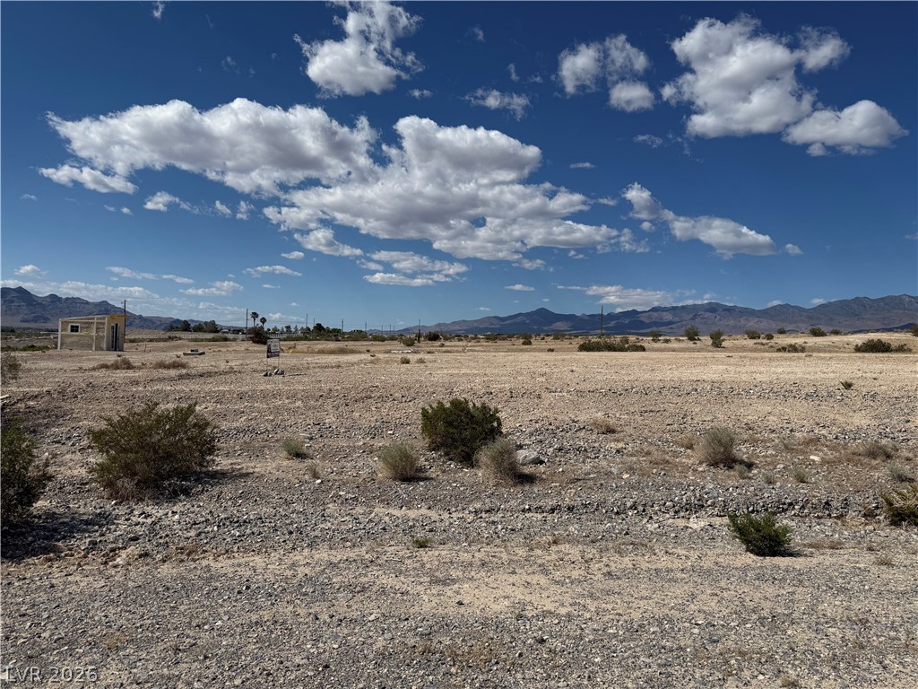 1230 East Irene Street Pahrump NV 89060